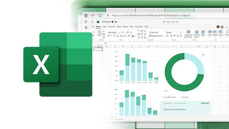 Image of the Microsoft Excel icon and an example screenshot of the web interface.