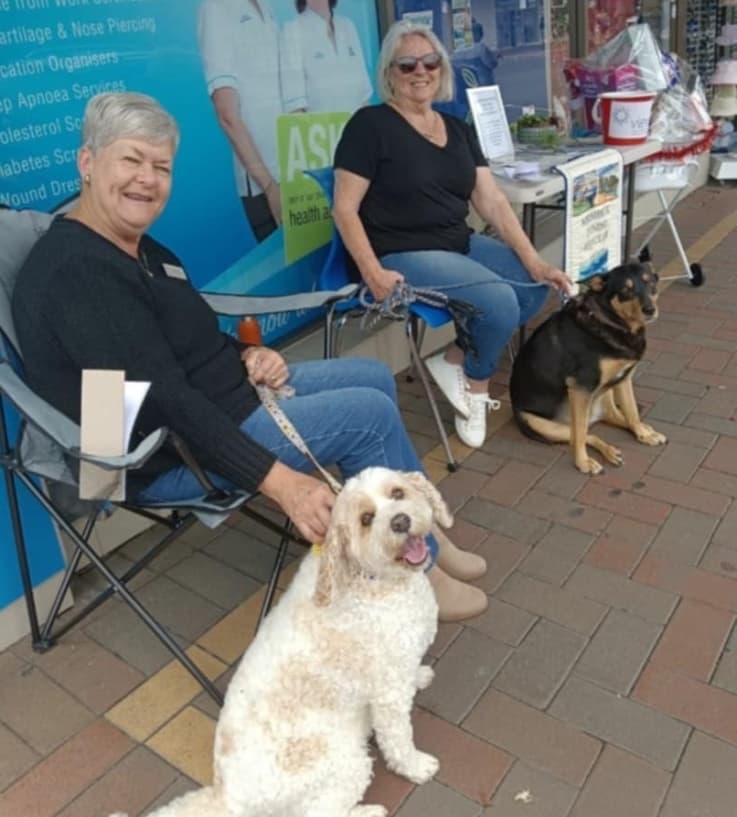 Merimbula Evening Dog Minding