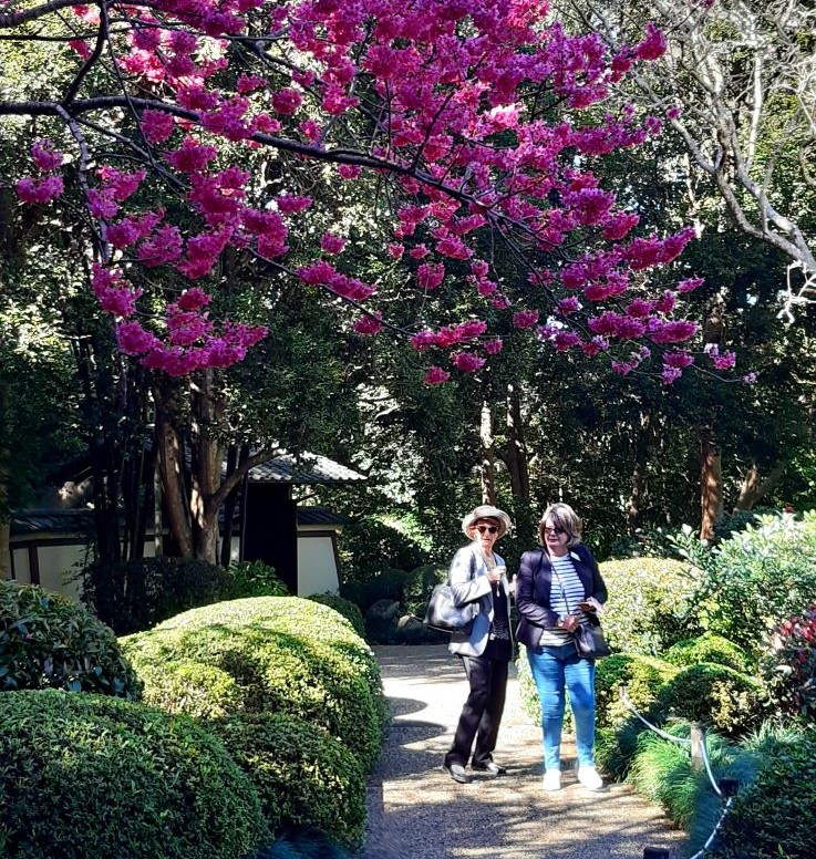 july-2024-mt-cootha-botanical-gardens