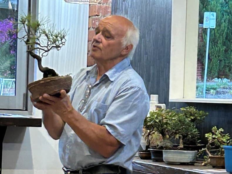 february-2024-guest-speaker-dave-allen-on-bonsai